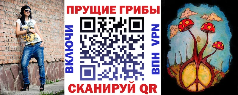 кракен зеркало Горячеводский Галлюциногенные грибы Magic Shrooms